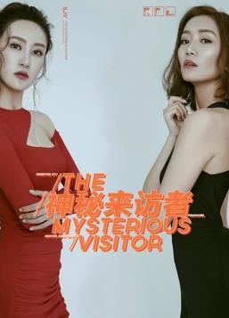 七七影院电视剧神秘来访者