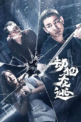 黄放导演电视剧劫犯在逃