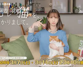 小林和宏导演电视剧我收留了前男友的猫