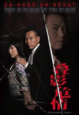 庄伟建导演电视剧夺命真夫国语