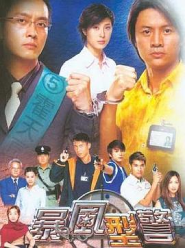 萧笙导演电视剧暴风刑警国语