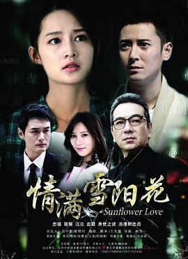 林添一导演电视剧情满雪阳花