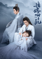 武文光导演电视剧错嫁世子妃