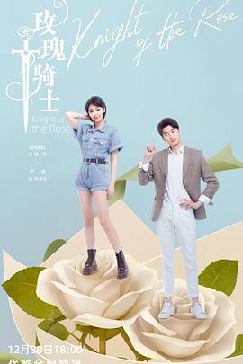 李淑婷主演电视剧玫瑰骑士