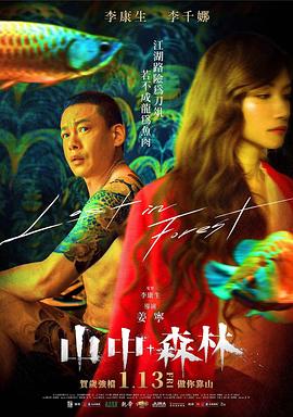 姜宁导演电视剧山中森林